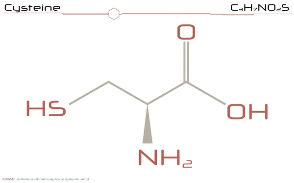 Infografía Grande Detallada Molécula Cisteína — Vector de stock