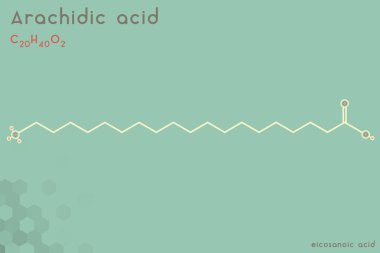Arachidic asit molekülünün geniş ve detaylı bilgi grafiği