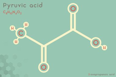 Pyruvic asit molekülünün geniş ve detaylı bilgi grafiği
