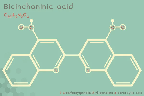 Infografica Ampia Dettagliata Della Molecola Dell Acido Bicinconinico — Vettoriale Stock
