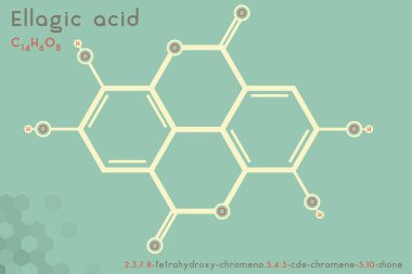 Ellagic asit molekülünün geniş ve detaylı bilgi grafiği.