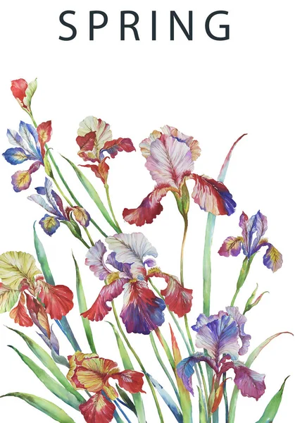Illustration Irises Watercolor Perfect Making Diy Wedding Invitations Blog Header — Stock Photo, Image
