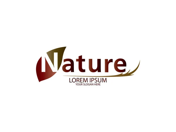 Organik yaprak logosu. Çevre yeşil yaprak logo vektörü. Doğa Logosu Yaprak Logosu Basit Ayrılma Vektörü