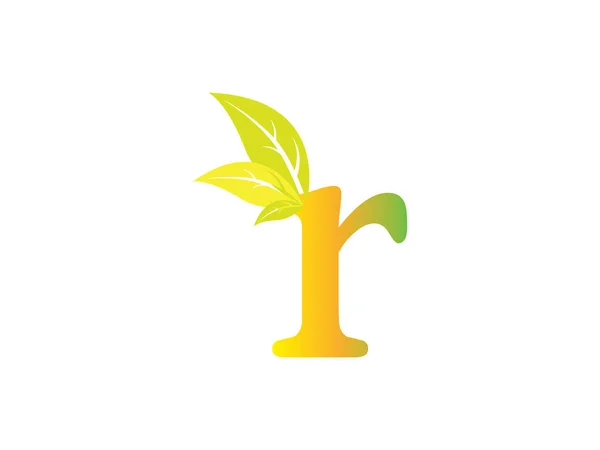 Yaprağın baş harfi R. Organik yaprak logosu. Çevre yeşil yaprak logo vektörü. Doğa Logosu Yaprak Logosu Basit Ayrılma Vektörü