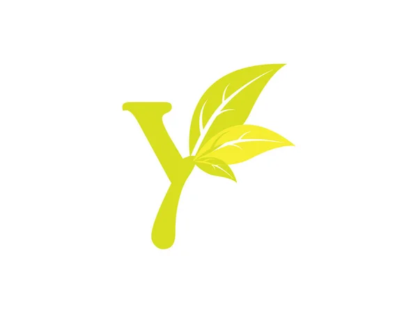 字母Y与叶子 有机叶子标识 生态绿叶标识向量 自然标识树叶标识简单标识离开标识向量 — 图库矢量图片
