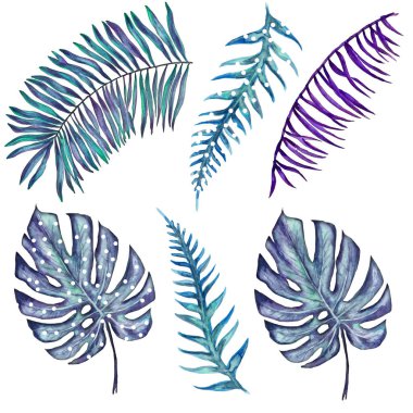  Suluboya Mavi, Violet ve Noktalı Palmiye Yaprakları Klip Sanatı. Sıra dışı Komik Tasarım. Tropikal Botanik elementleri beyaza izole edildi.
