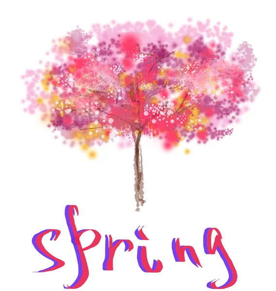 Spring Tree Bloom Sakura Blossom Illustration Lettering Spring Card Poster — Stock Photo, Image