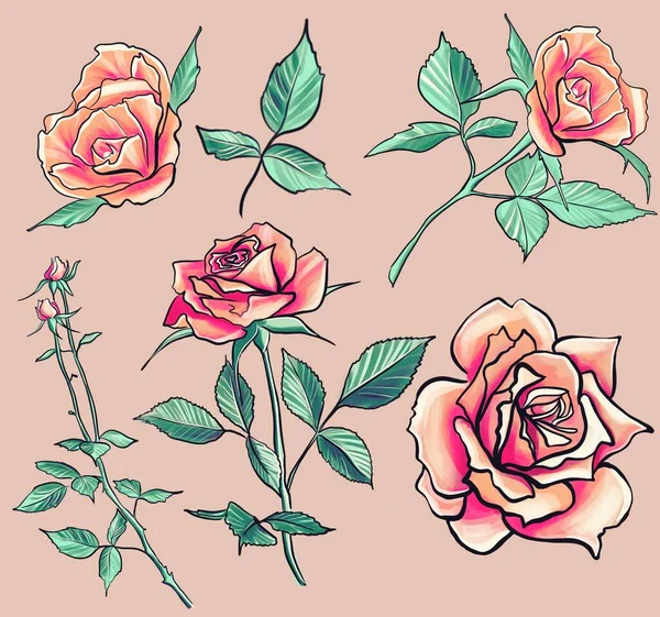 Lukisan Pink Roses Clip Art Warna Cerah Floral Decor Dengan — Stok Foto