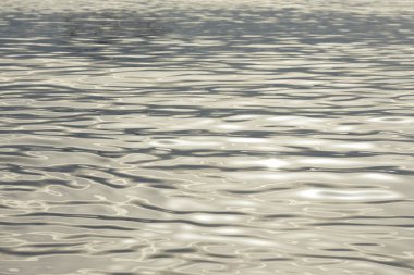 soyut sakin okyanus suyu dalgalanmaları hafif yansıtıcı renklendirici arka plan