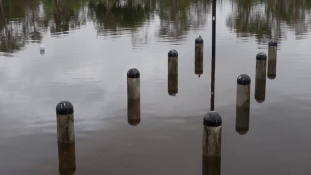 Översvämningar vid smaragdsjöar, översvämningsvatten på Guldkusten, Queensland, Australien — Stockvideo