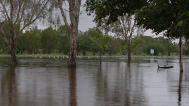 Sel, Gold Coast, Queensland, Avustralya 'da sürekli yağan şiddetli yağmurdan kaynaklanıyor.