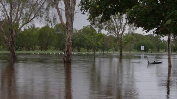 Sel, Gold Coast, Queensland, Avustralya 'da sürekli yağan şiddetli yağmurdan kaynaklanıyor. — Stok video