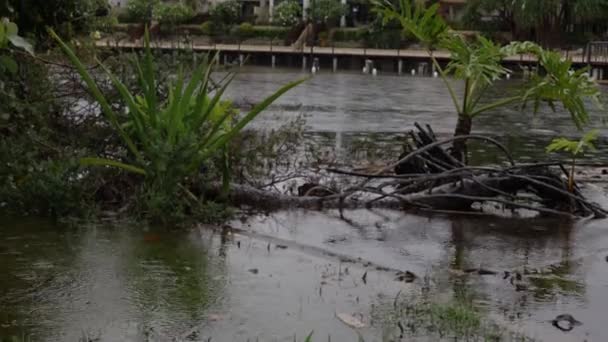 Inundaciones causadas por fuertes lluvias constantes en la Costa de Oro, Queensland, Australia — Vídeos de Stock
