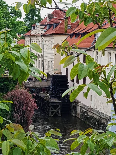 Photo Moulin Eau Dans Centre Historique Prague — Photo