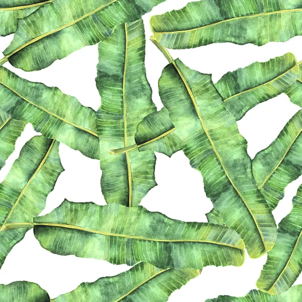 Boschetto senza soluzione di continuità di foglia di palma Banana — Foto Stock