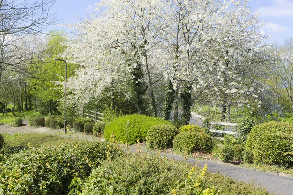 在米尔顿凯恩斯，英国的春天 — 图库照片
