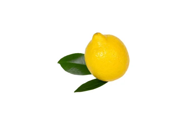 Limón con hojas aisladas — Foto de Stock