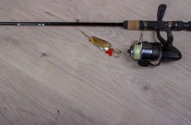 balık tutmak için dönüyor