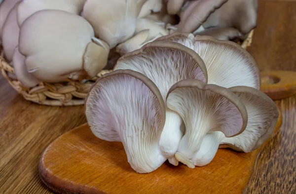 보드에 신선한 굴 버섯 — 스톡 사진