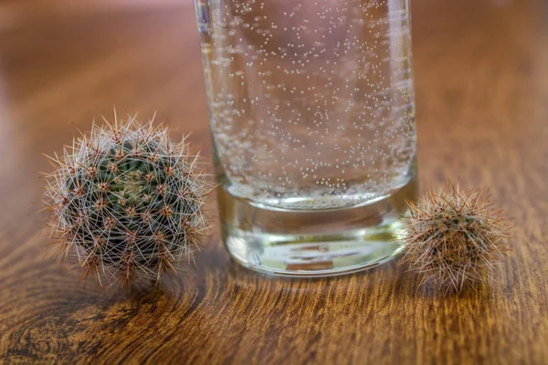 Tiro de tequila com limão — Fotografia de Stock