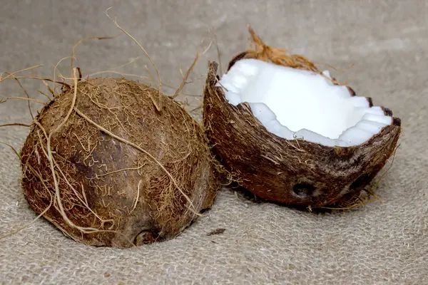 Coco cortado em pedaços na serapilheira — Fotografia de Stock