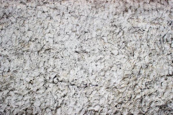 Parede de textura de concreto cinza, fundo branco brilhante — Fotografia de Stock