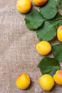 çuvala tablo üzerinde taze kayısı