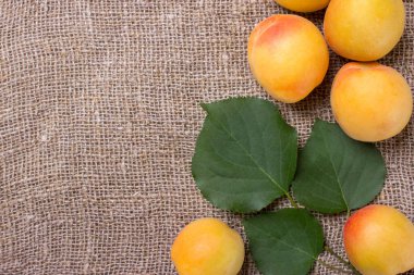 Arka planda yaprakları olan organik kayısılar