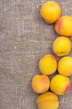 arka plan çuval bezi üzerinde bir kabın içinde kayısı.