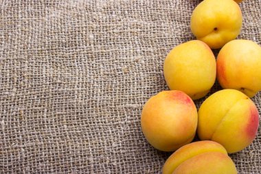 çuvala tablo üzerinde taze kayısı