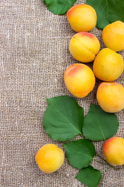 Arka planda yaprakları olan organik kayısılar