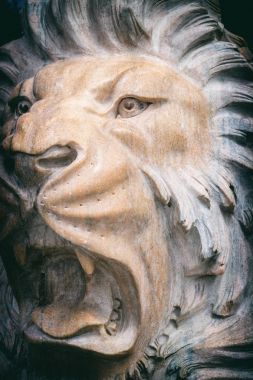 Mermer aslan heykeli. Tonda. Baş, yakın çekim. Kükreyen aslan heykeli.