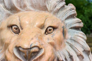 Mermer bir aslan heykeli. Tonda. Baş, yakın çekim.