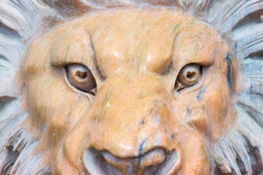 Mermer bir aslan heykeli. Tonda. Baş, yakın çekim.