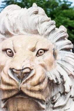Mermer bir aslan heykeli. Tonda. Baş, yakın çekim.