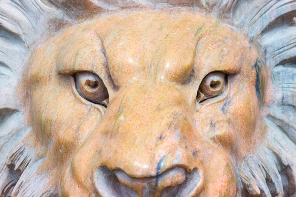 Mermer bir aslan heykeli. Tonda. Baş, yakın çekim.