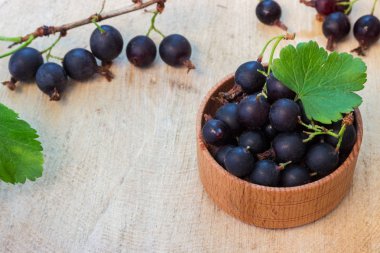 kase ahşap kütük üzerinde siyah kuş üzümü