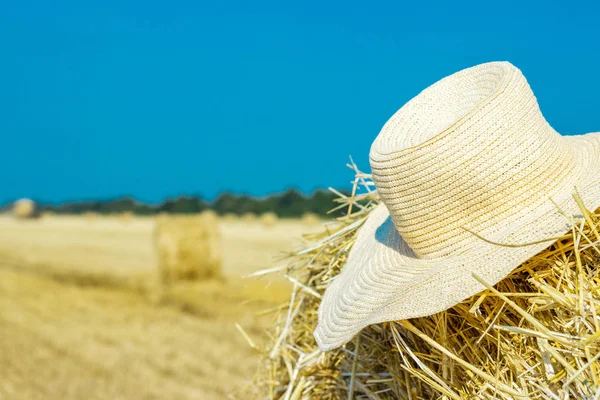 Cappello da contadino in pagliaio. Concetto Agricoltura Concetto Raccolta — Foto Stock