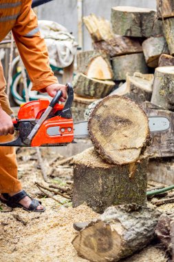 Oduncu logger işçi koruyucu dişli kesme yakacak odun ahşap ağaç chainsaw ile orman