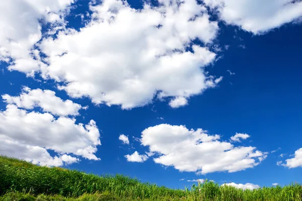 Expressive blue sky,cloudy and green field