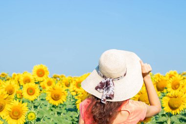 Ayçiçeği tarlasında hasır şapkalı hippi bir kadın. Gezgin kız, yaz günbatımının tadını çıkar.