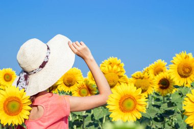 Yaz aylarında ayçiçeği tarlası şapkalı bir genç kız. Arkadan Görünüm. Çiçek peyzaj.