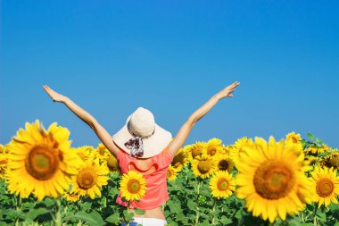 Ayçiçeği alanındaki hasır şapka ile mutlu kadın
