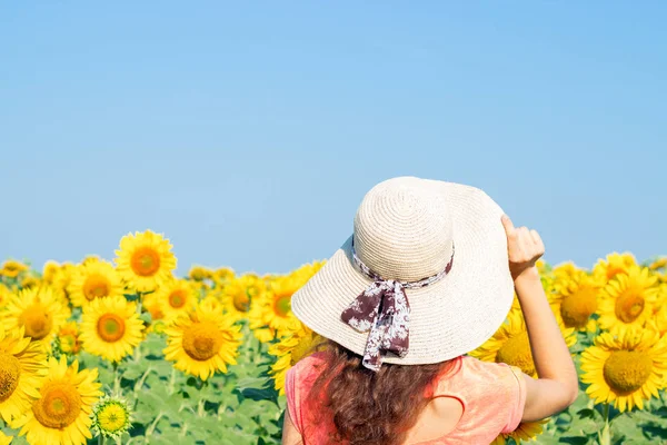 Ayçiçeği tarlasında hasır şapkalı hippi bir kadın. Gezgin kız, yaz günbatımının tadını çıkar.