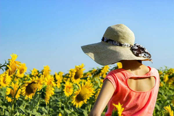 Ayçiçeği tarlasında hasır şapkalı hippi bir kadın. Gezgin kız, yaz günbatımının tadını çıkar.