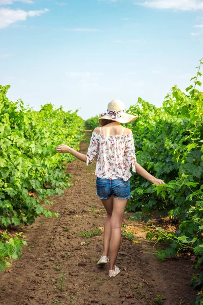 Mladá žena chodí přes vinice na vinné farmě nebo majetku. — Stock fotografie