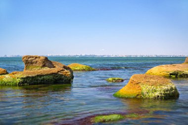 Taş arka plan olarak denizin gökyüzü mavi ile yeşil yosun kaplı. Uzun pozlama.