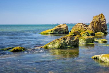 Yeşil algler kıyı taşla. Yeşil algler ile kaplı taş