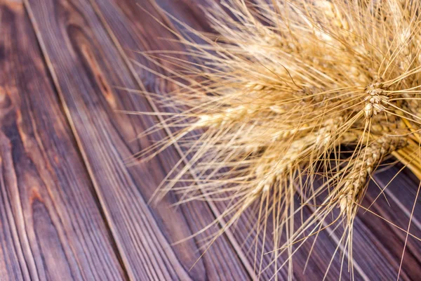Pšenice stonky, na dřevěné pozadí sklizeň konceptu — Stock fotografie