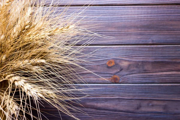 Zlatá pšenice na hnědé dřevěné plochy — Stock fotografie